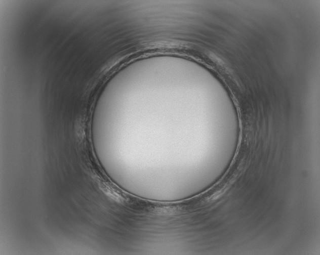 X0000073951017200609111644