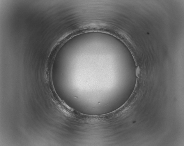 X0000073951018200609111644