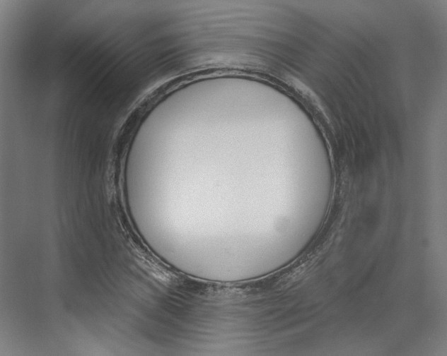 X0000073951019200609111644