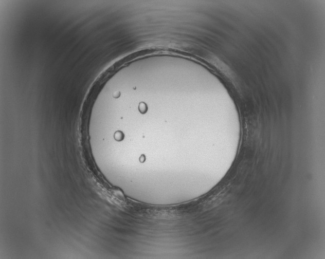 X0000073951020200609111644