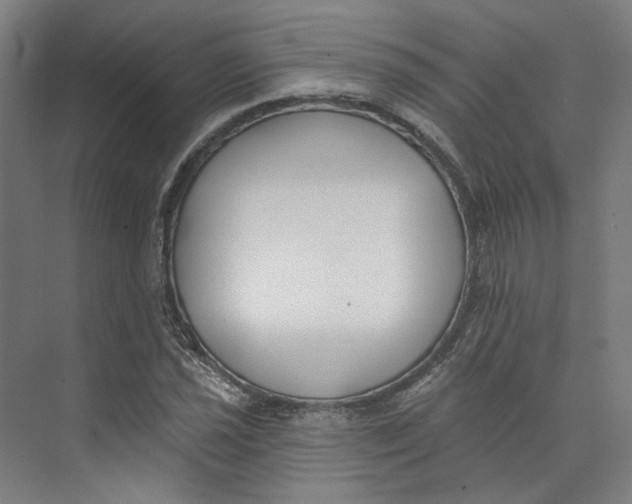 X0000073951021200609111645