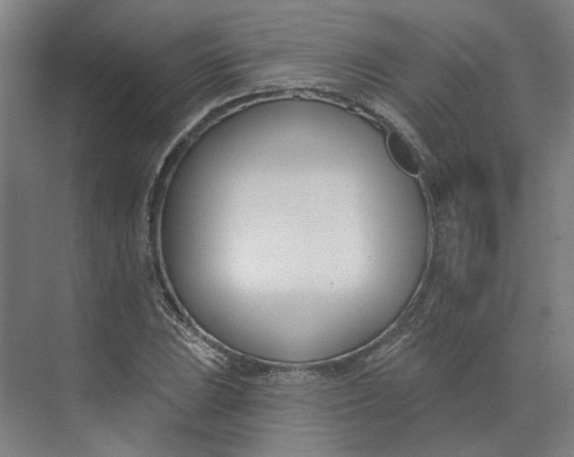 X0000073951023200609111645