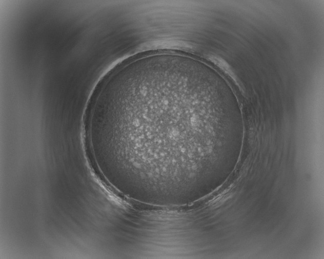 X0000073951024200609111645