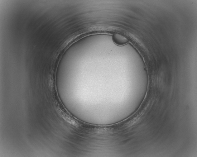 X0000073951025200609111645