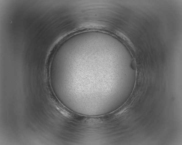 X0000073951027200609111645