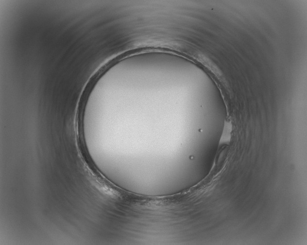 X0000073951028200609111645