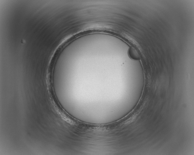 X0000073951029200609111645