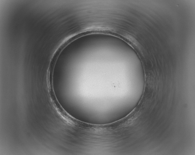 X0000073951030200609111645