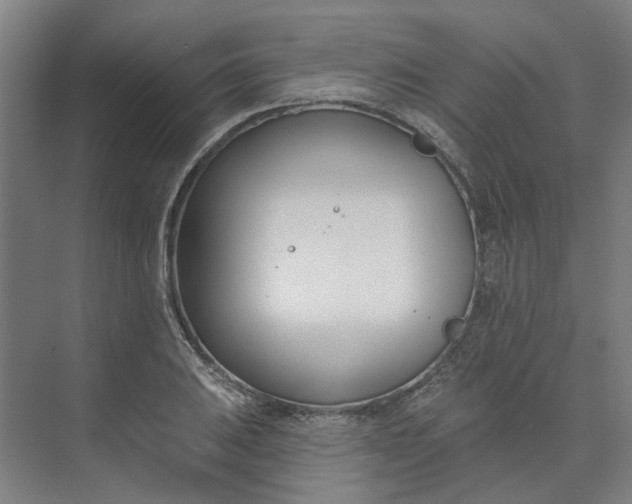 X0000073951031200609111645