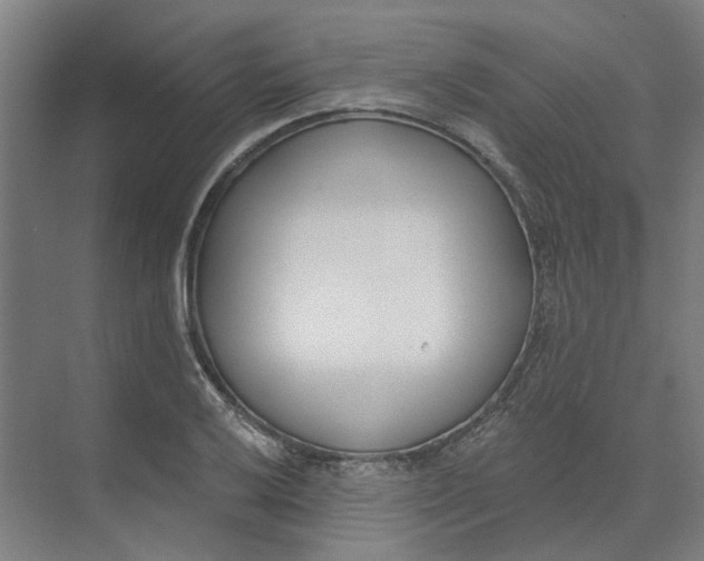 X0000073951032200609111645