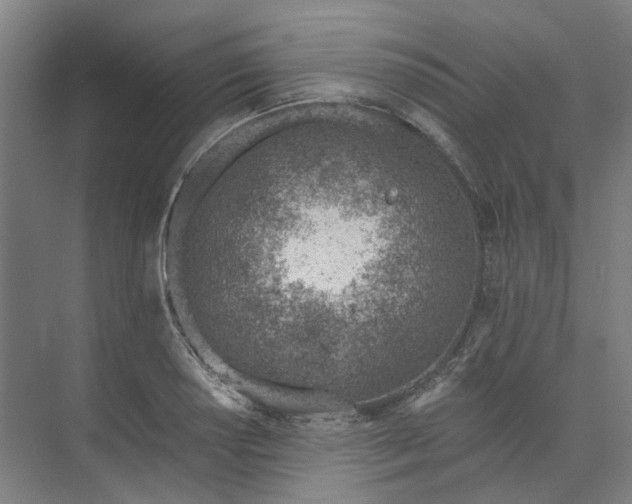 X0000073951034200609111645