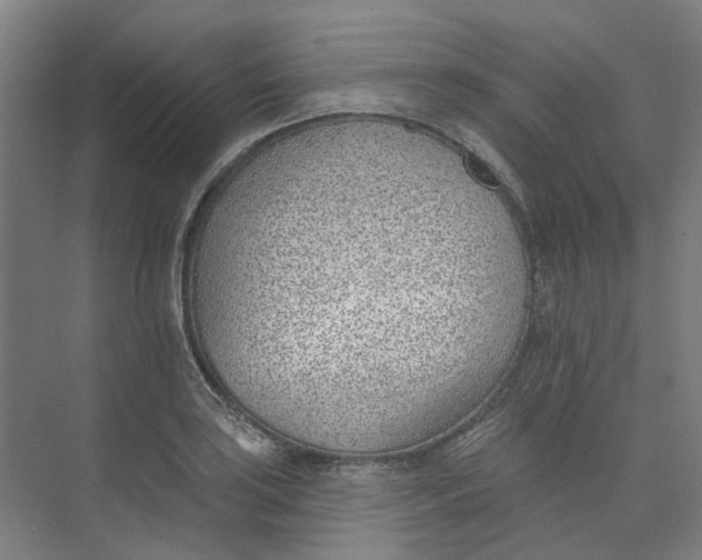 X0000073951035200609111645