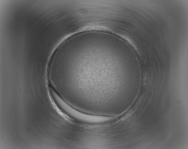 X0000073951038200609111645