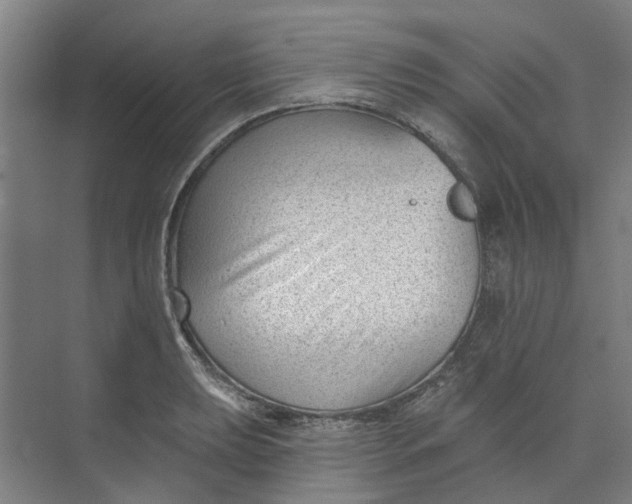 X0000073951039200609111645