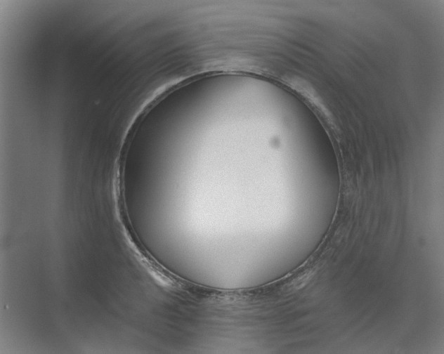 X0000073951040200609111645