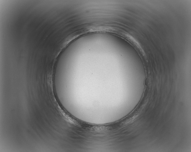 X0000073951041200609111645