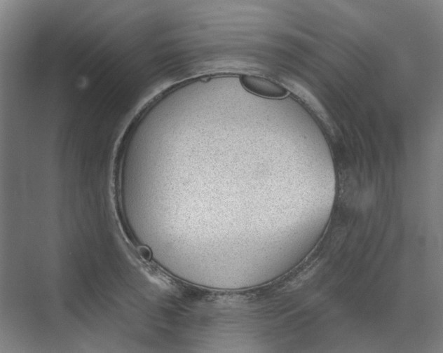 X0000073951043200609111645