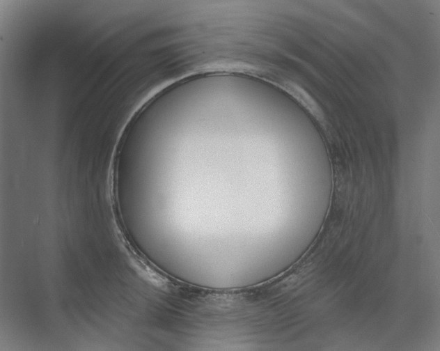 X0000073951044200609111645