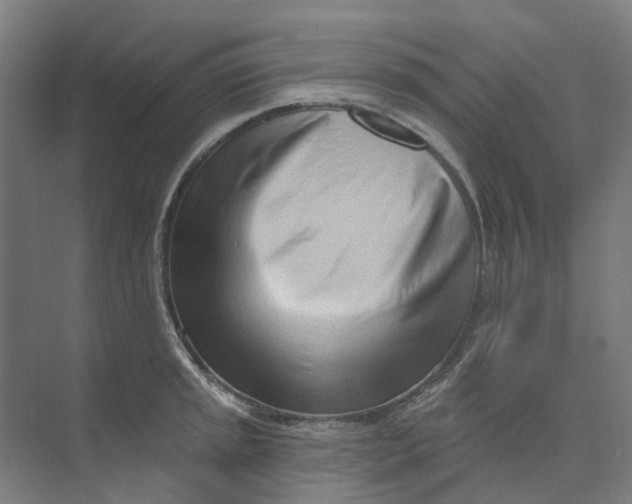 X0000073951045200609111645