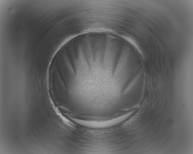 X0000073951046200609111645