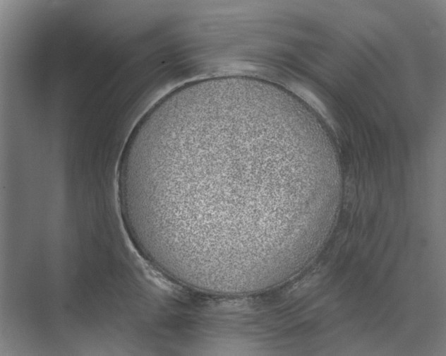 X0000073951047200609111645