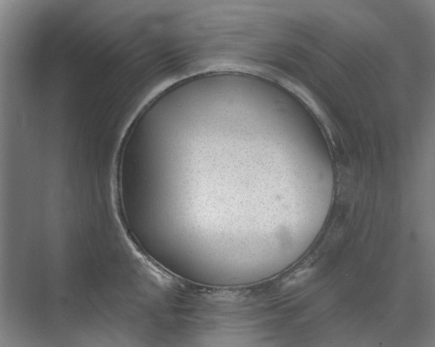 X0000073951048200609111645