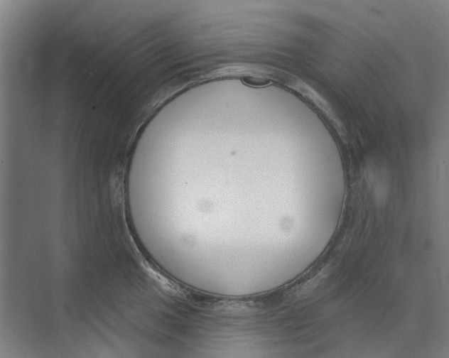 X0000073951049200609111645