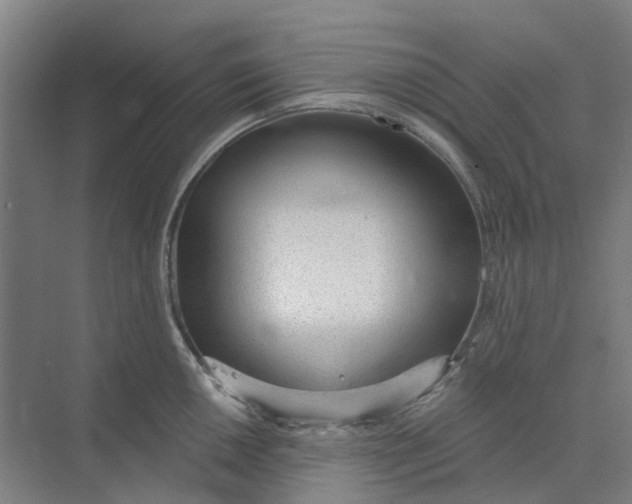 X0000073951050200609111645