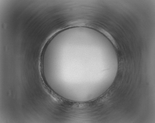 X0000073951051200609111645