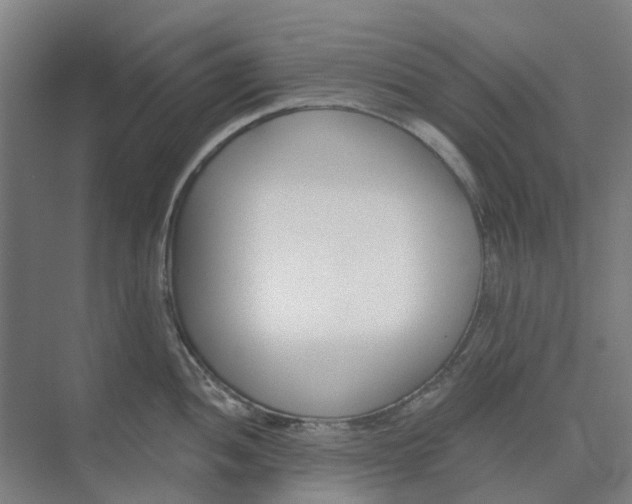 X0000073951052200609111645