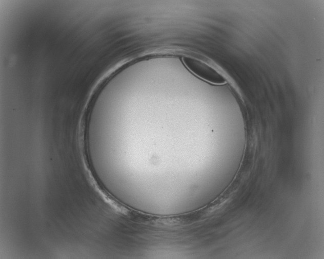 X0000073951053200609111645