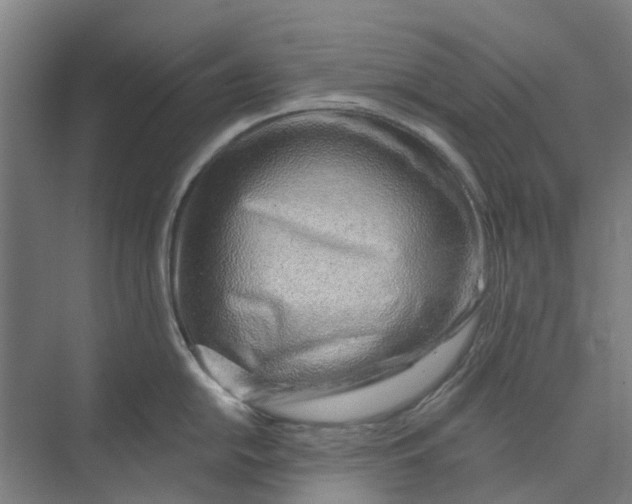 X0000073951054200609111645