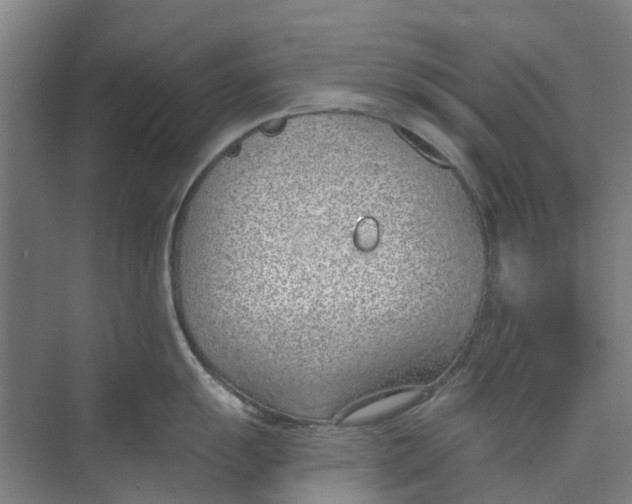 X0000073951055200609111645