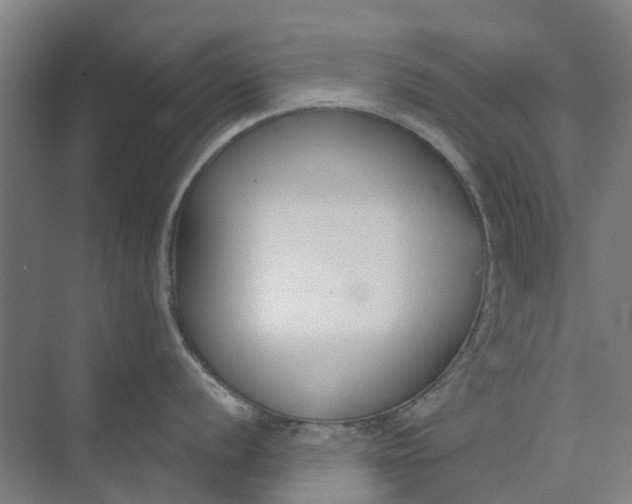 X0000073951056200609111645