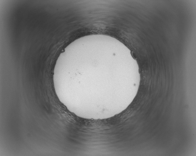 X0000073951057200609111644