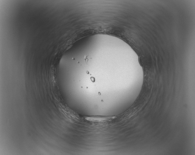 X0000073951058200609111644