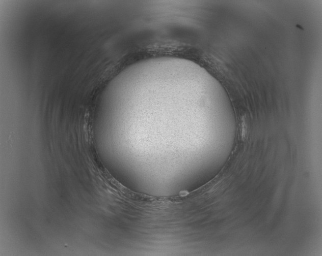 X0000073951059200609111644