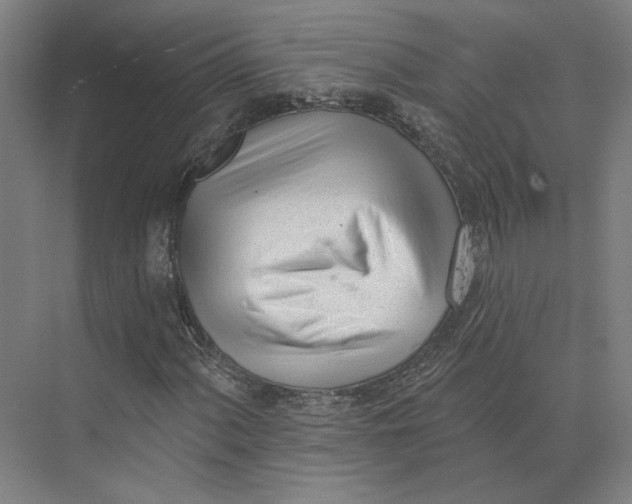 X0000073951060200609111644