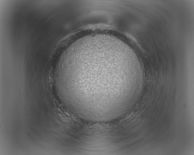 X0000073951063200609111644