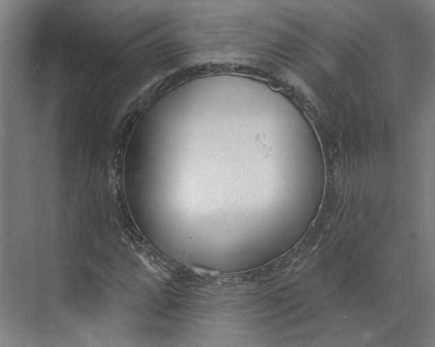 X0000073951064200609111644