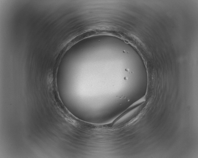 X0000073951065200609111644