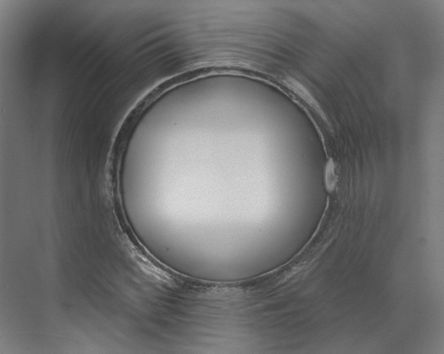 X0000073951068200609111644