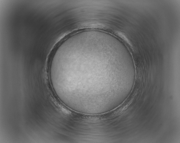 X0000073951071200609111644