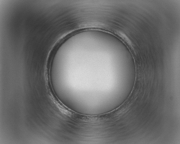 X0000073951072200609111644