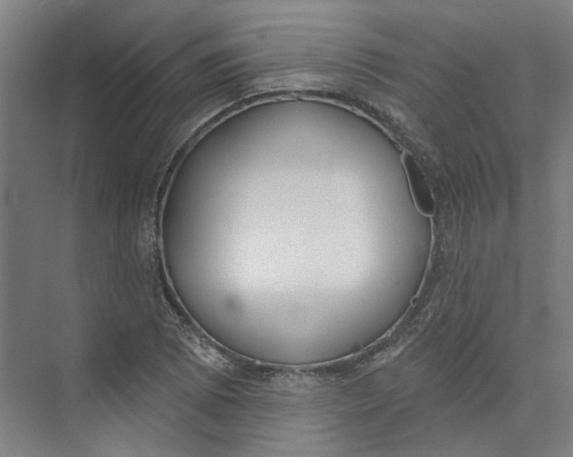 X0000073951073200609111644