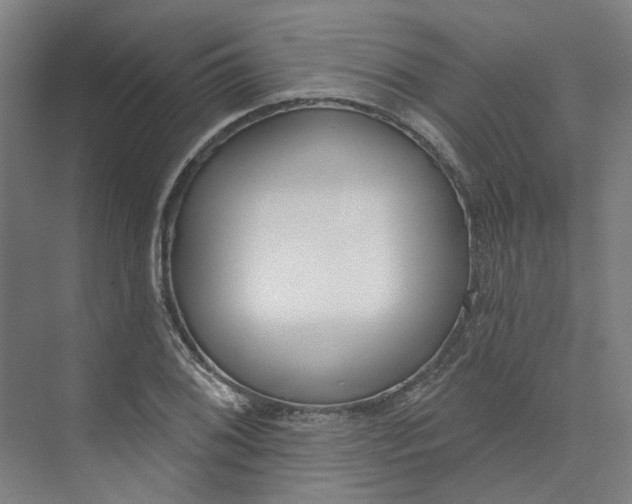 X0000073951076200609111644