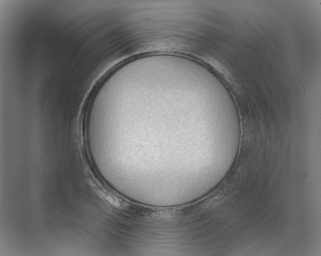 X0000073951078200609111644