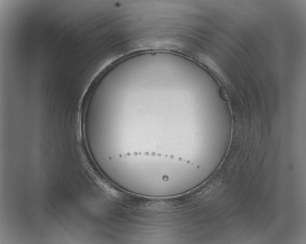 X0000073951079200609111644