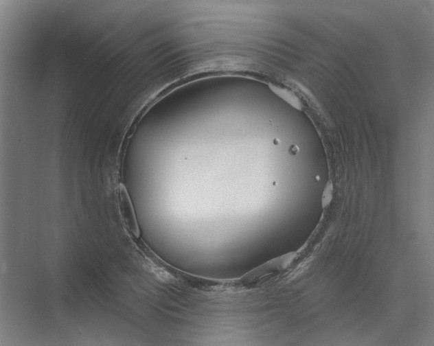 X0000073951081200609111644