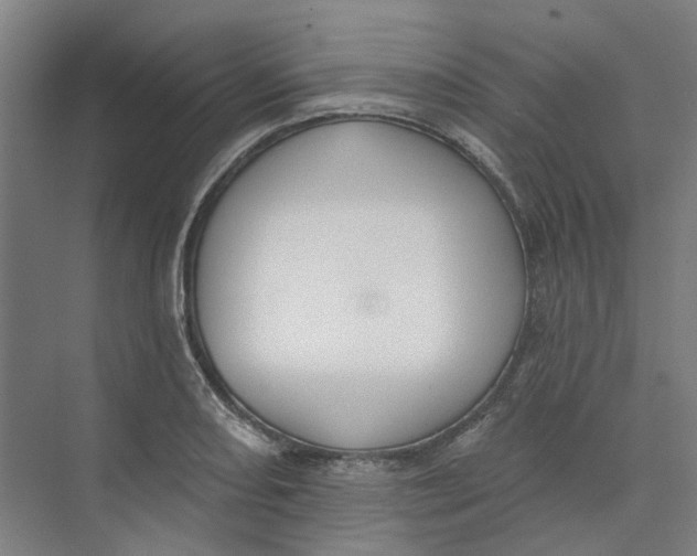 X0000073951082200609111644